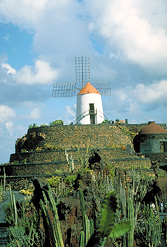 Kaktusgarten von Guatiza Kaktusgarten von Guatiza