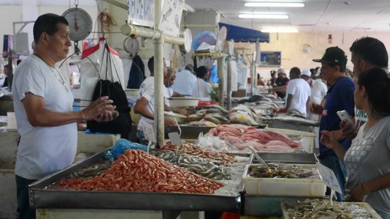 Fischmarkt Panama City Fischmarkt Panama City