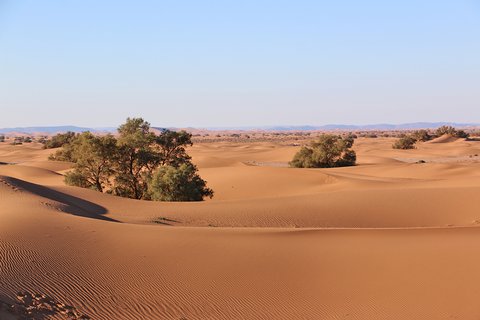 Marokko Sahara Dünen zum Erg Chaegaga Marokko Sahara Dünen zum Erg Chegaga