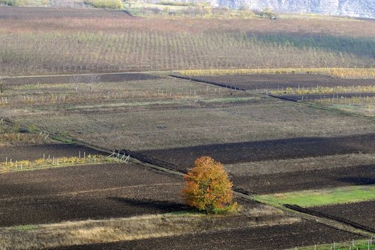 Fruchtbare Schwarzerde Fruchtbare Schwarzerde
